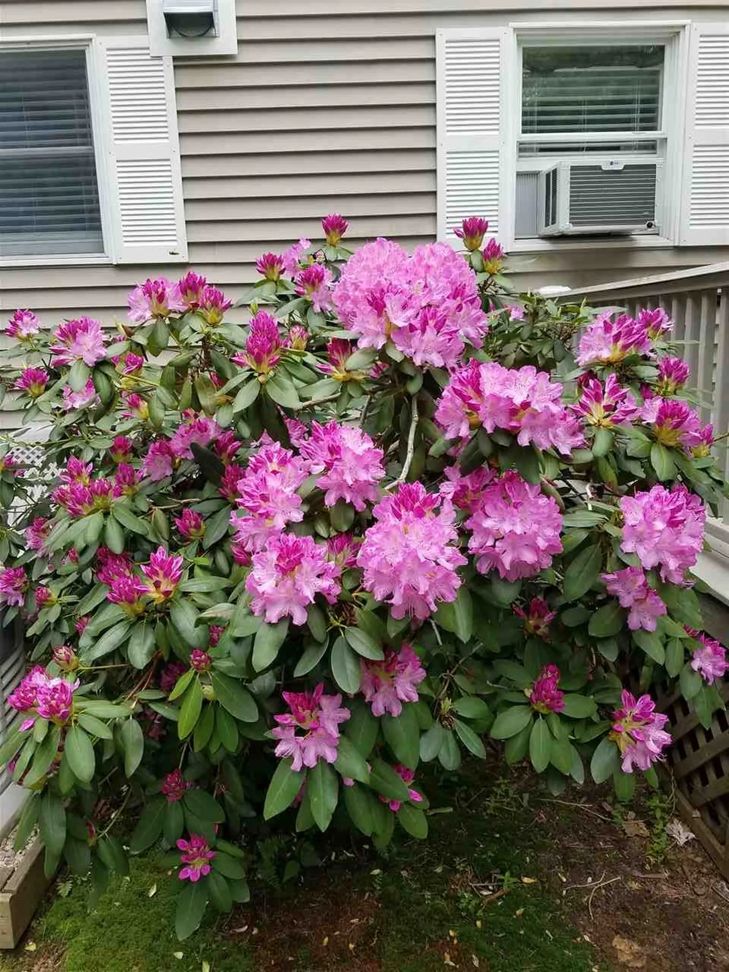 1 Mulligan Drive Dover NH 03820