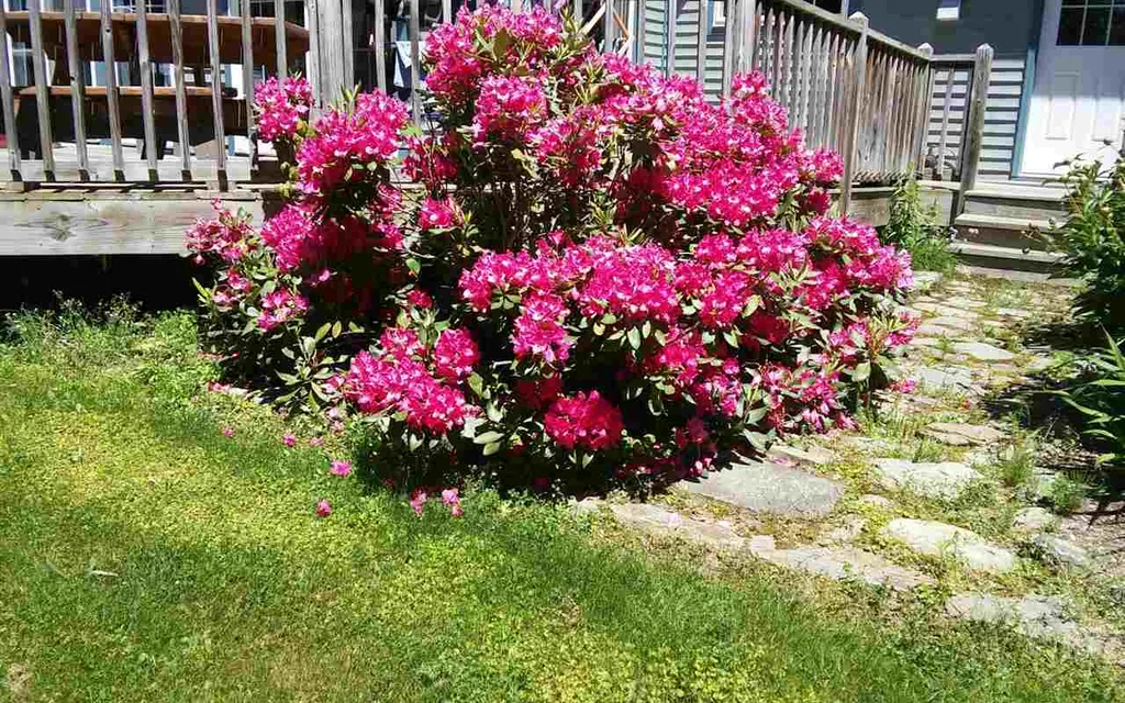 282 Paus Lane Hyde Park VT 05655