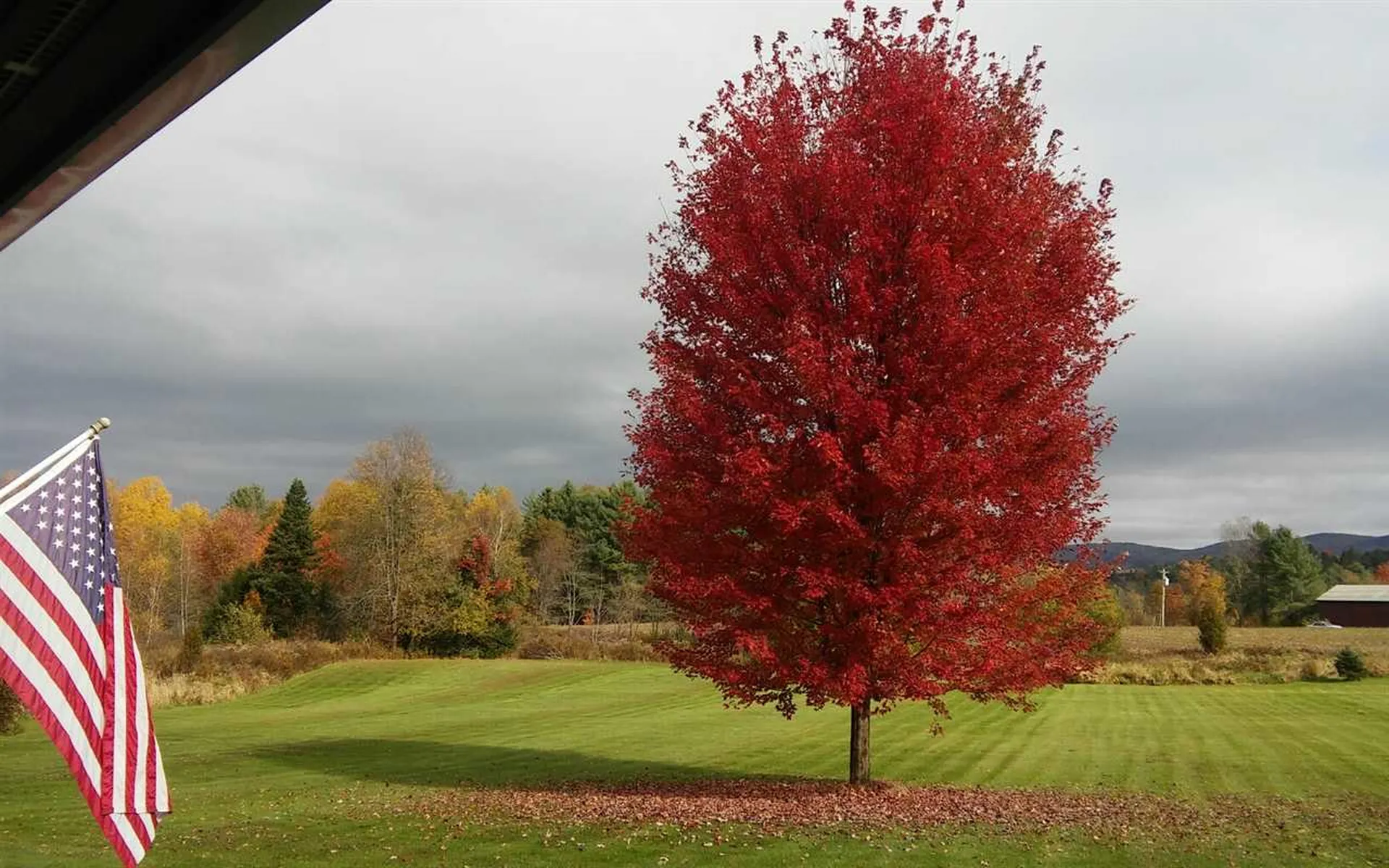 282 Paus Lane Hyde Park VT 05655
