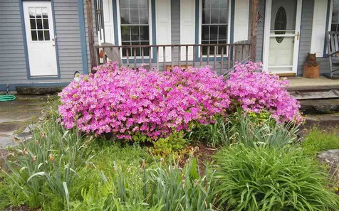 282 Paus Lane Hyde Park VT 05655