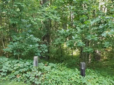 11 Stevens Way Durham NH 03824
