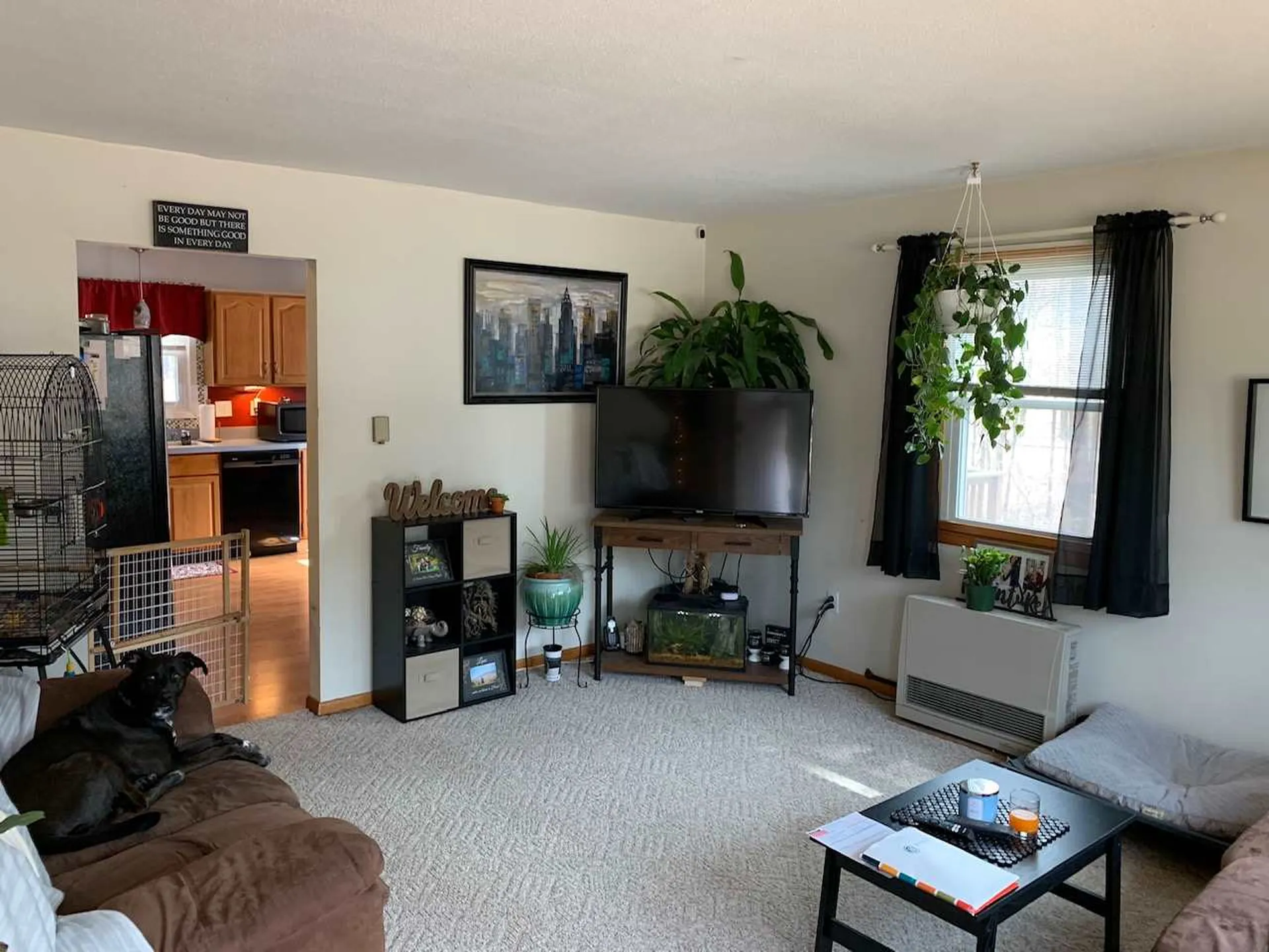916 Williams Road Colchester VT 05446