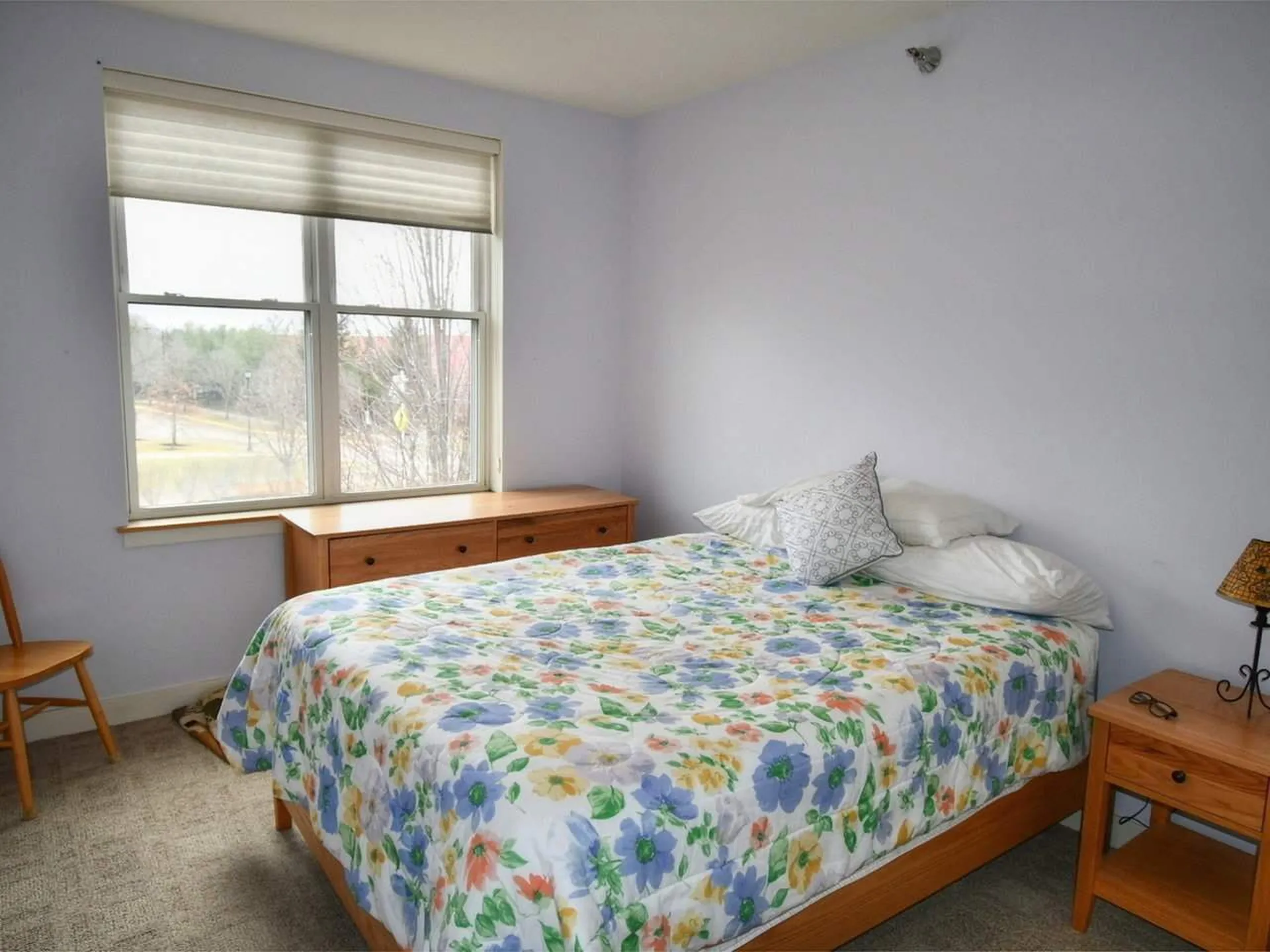 410 Farrell Street South Burlington VT 05403
