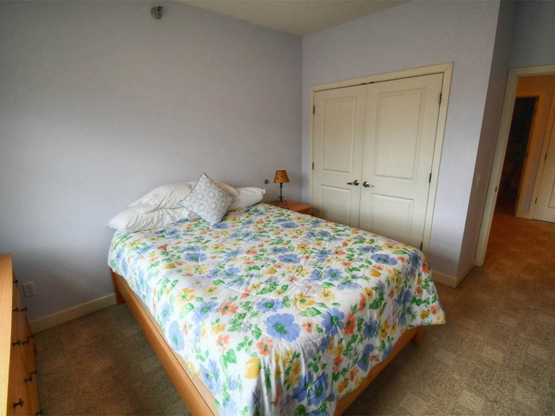 410 Farrell Street South Burlington VT 05403