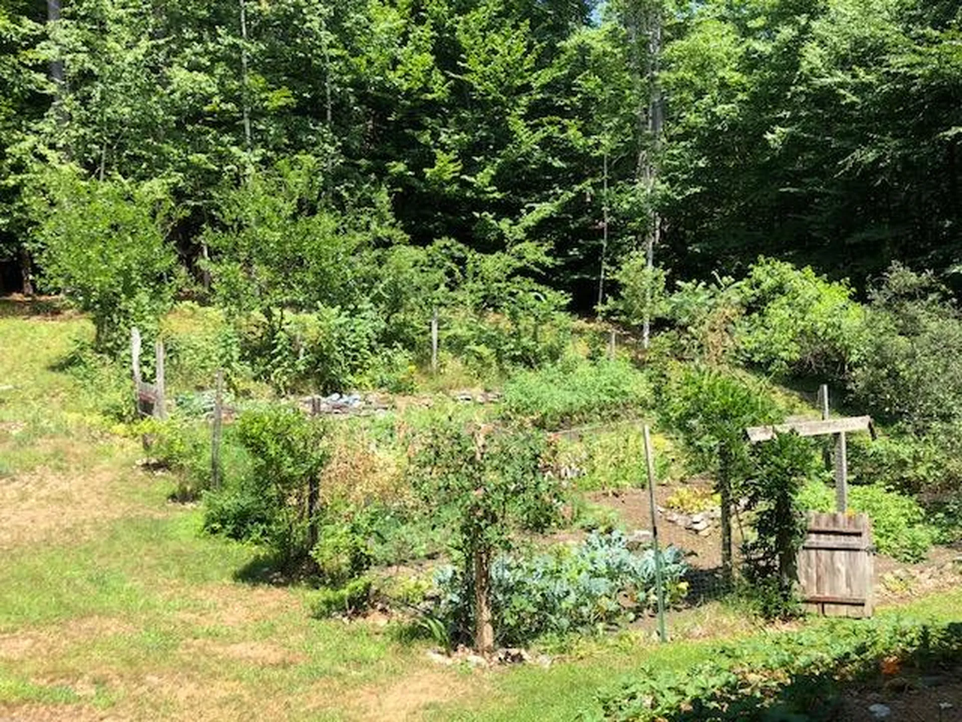 112 Old Coach Road Dummerston VT 05301