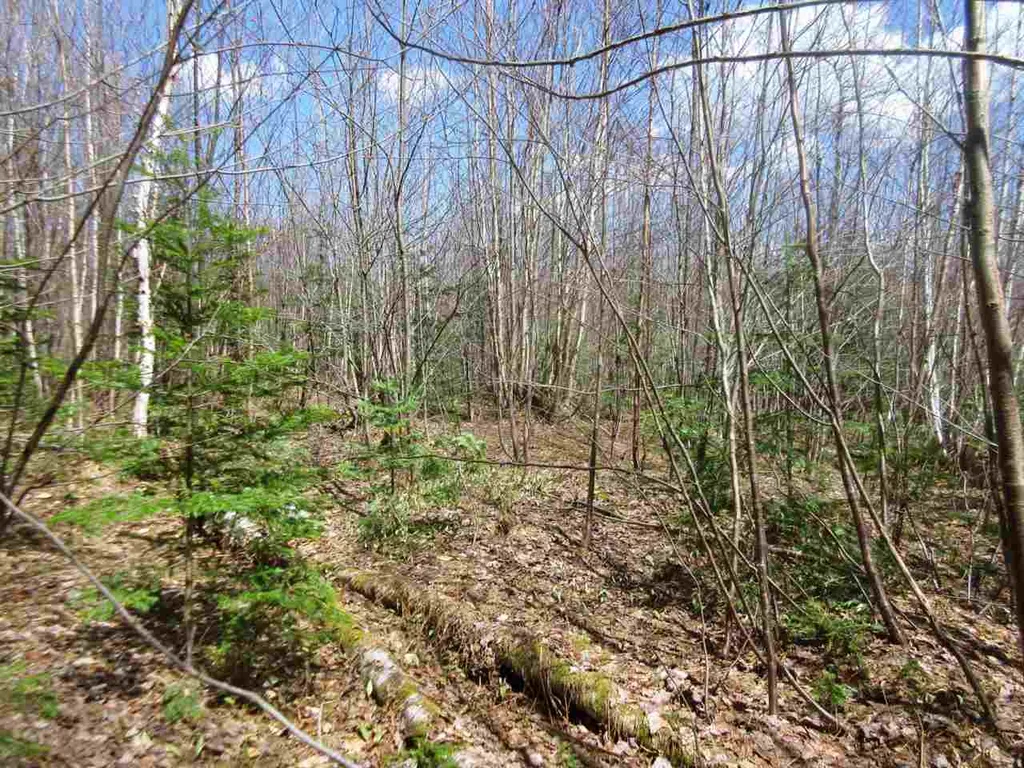 - Snyder Brook Road Westfield VT 05874