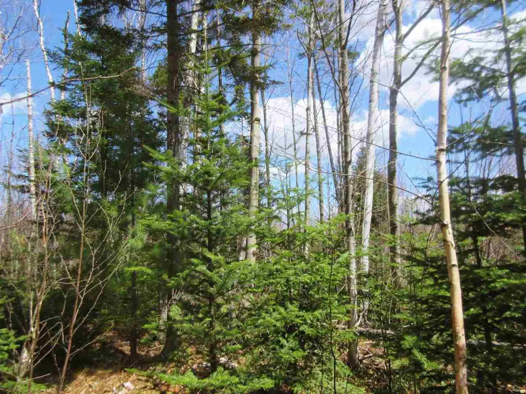 - Snyder Brook Road Westfield VT 05874