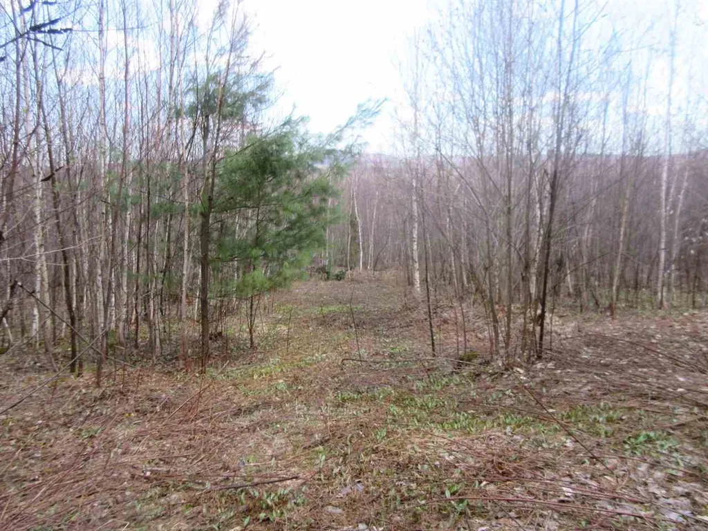 - Snyder Brook Road Westfield VT 05874