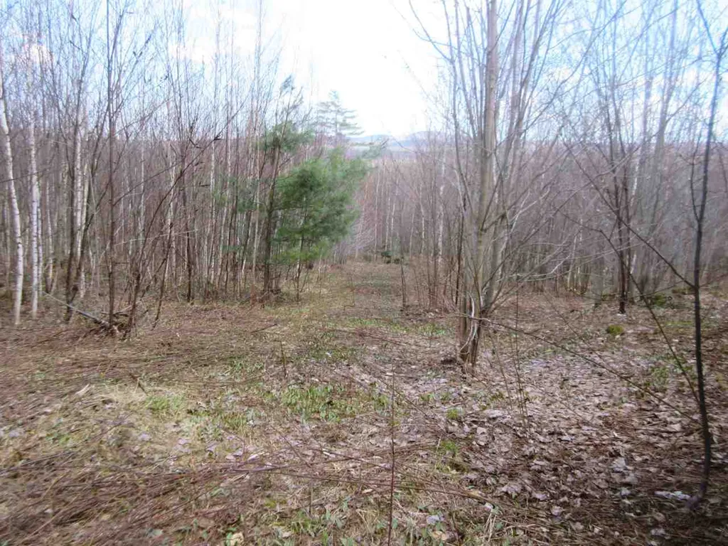 - Snyder Brook Road Westfield VT 05874