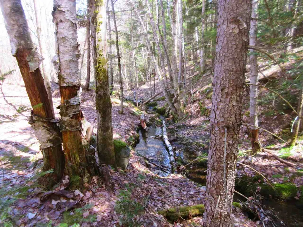 - Snyder Brook Road Westfield VT 05874