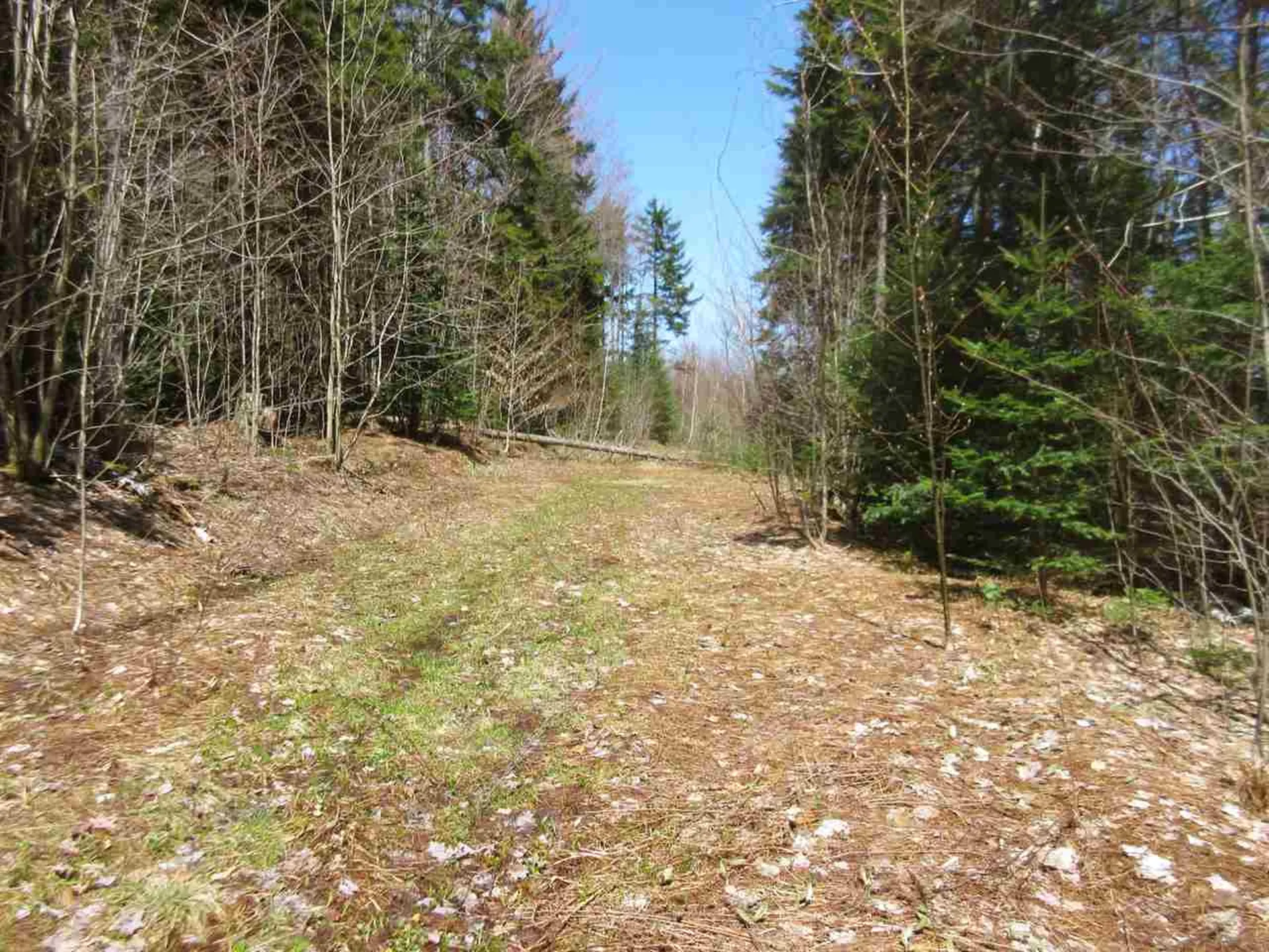 - Snyder Brook Road Westfield VT 05874