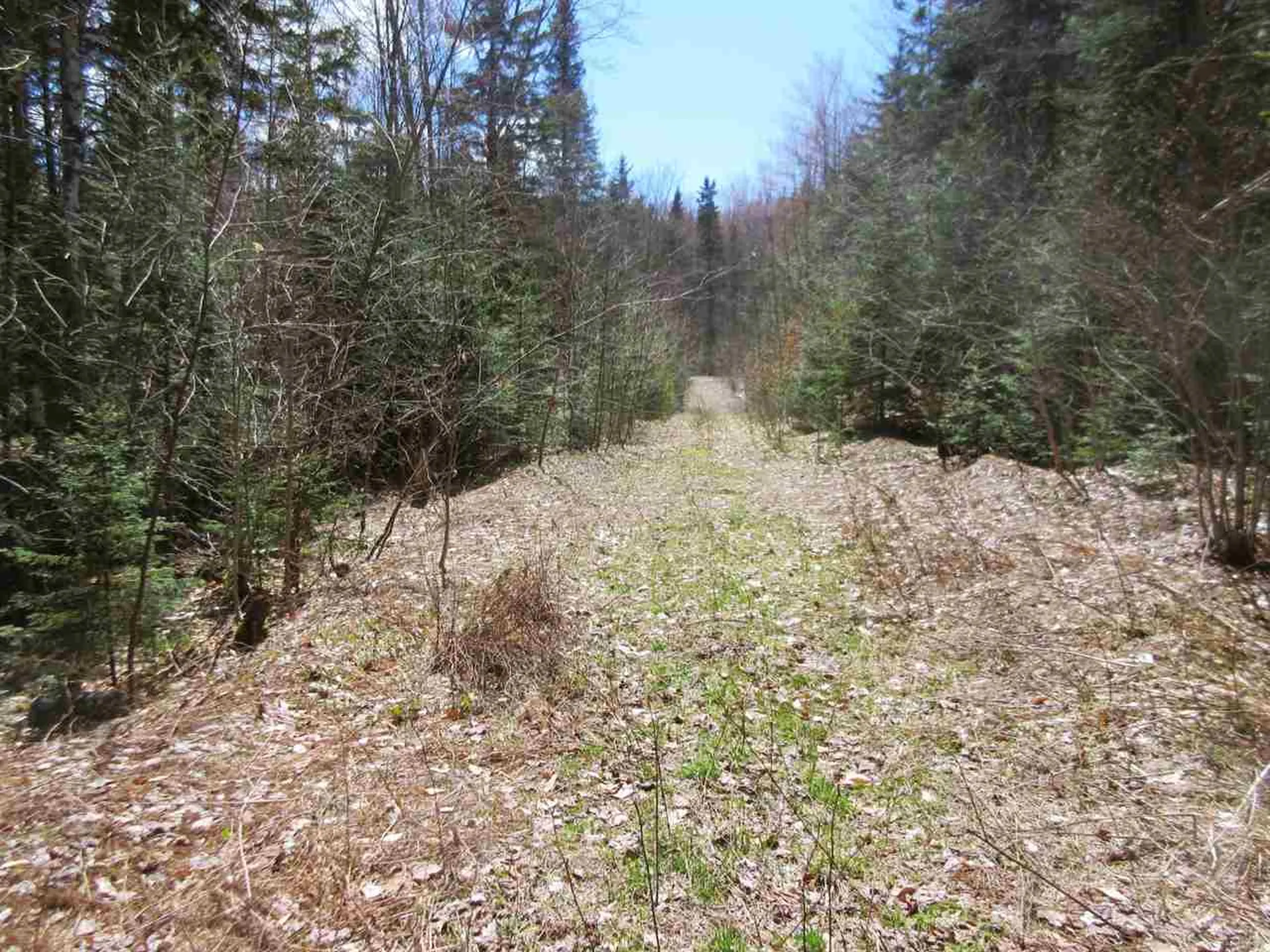 - Snyder Brook Road Westfield VT 05874