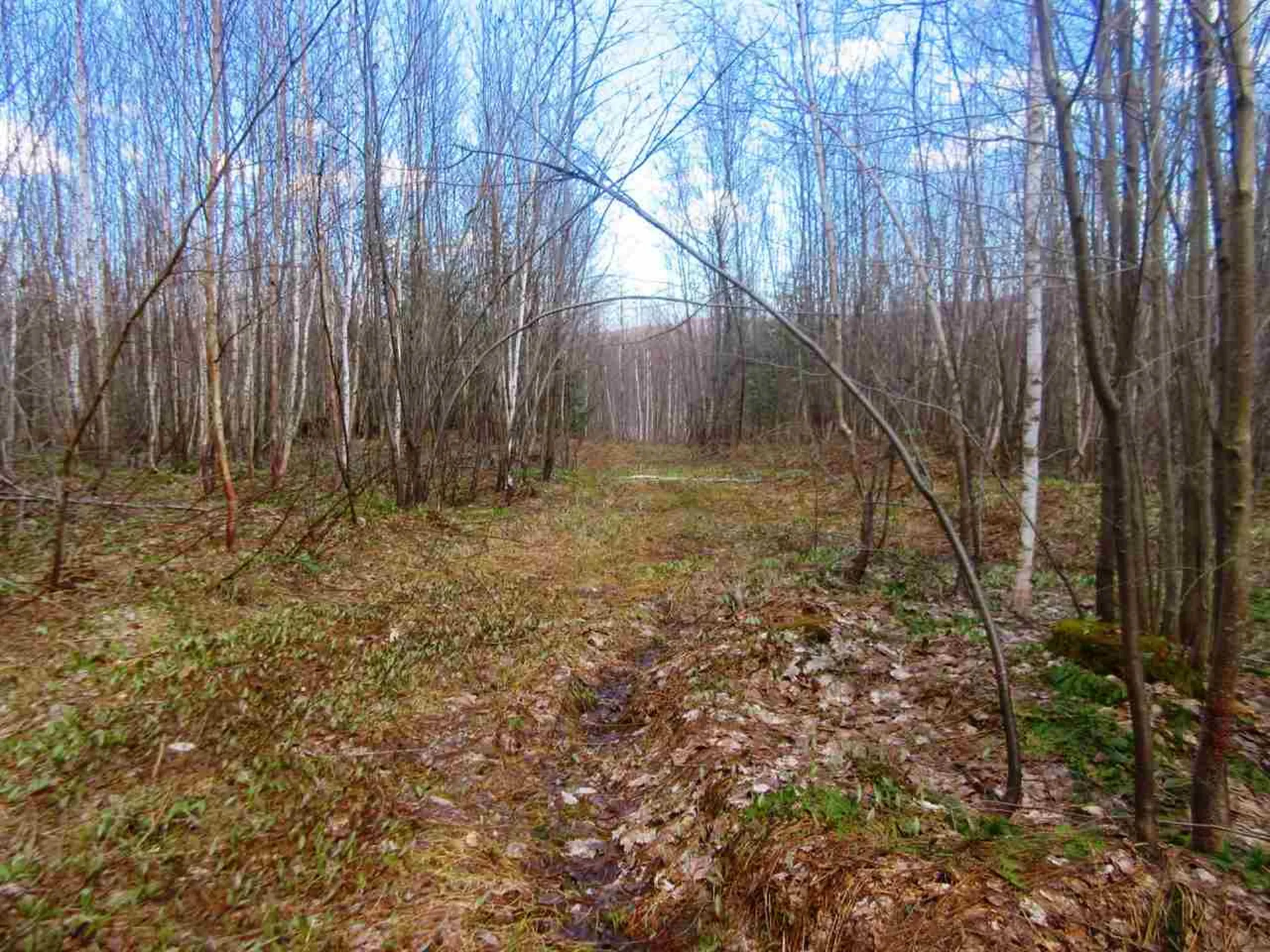 - Snyder Brook Road Westfield VT 05874