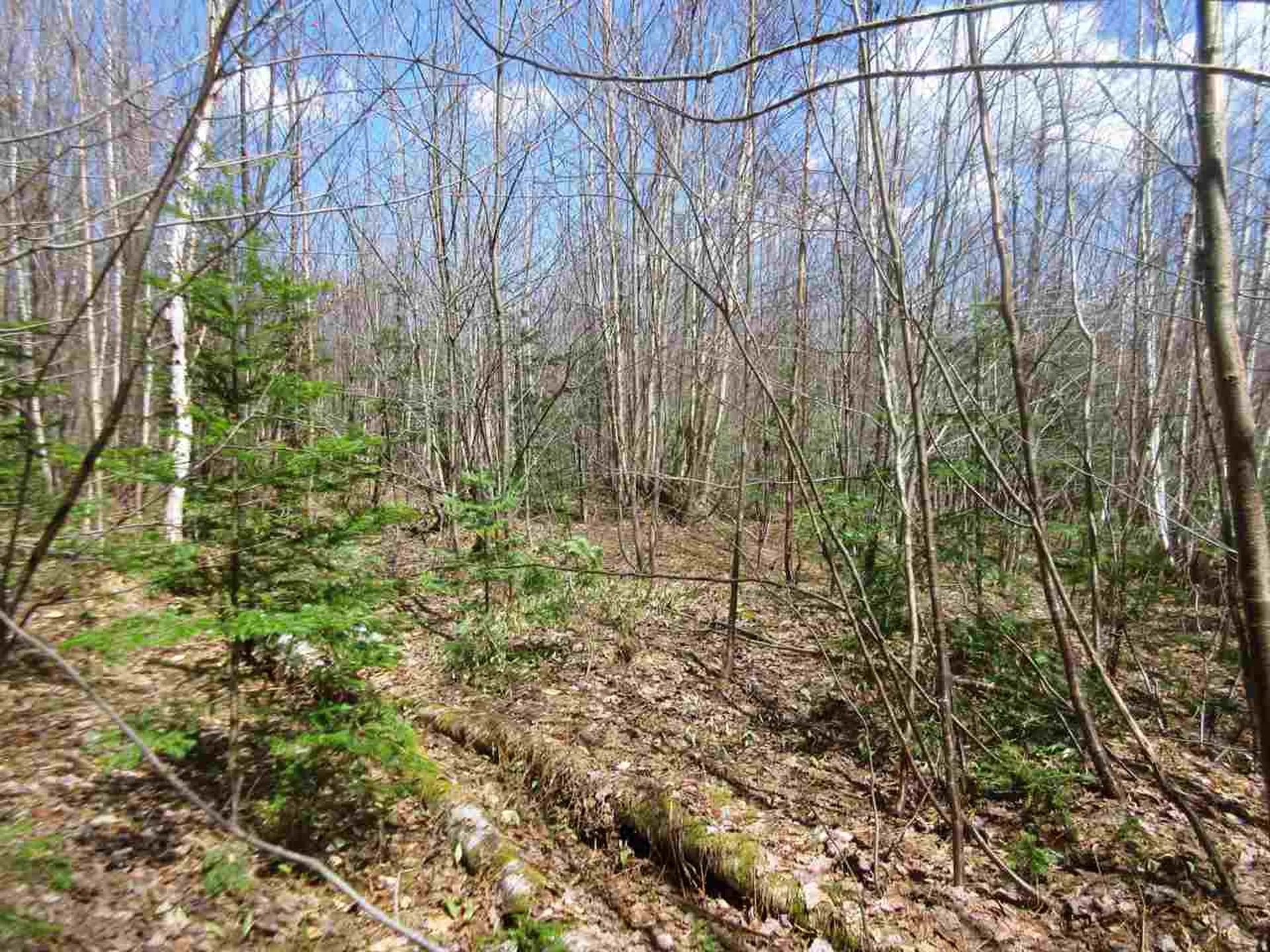 - Snyder Brook Road Westfield VT 05874