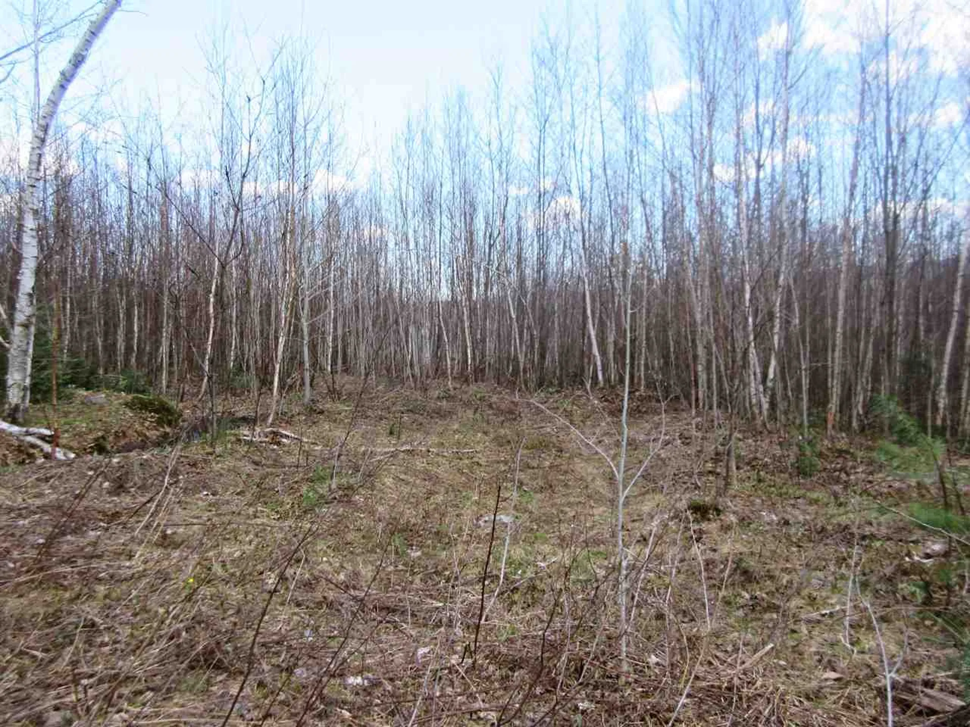 - Snyder Brook Road Westfield VT 05874