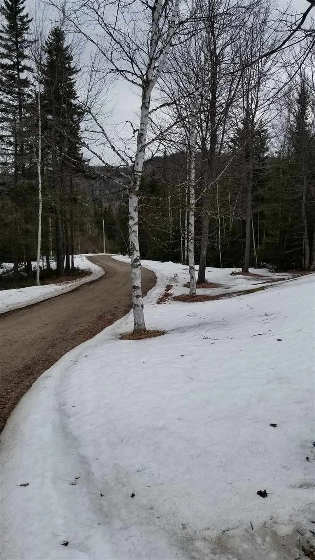 194 Success Road Milan NH 03588