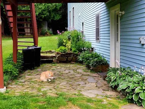 733 Wheelock Road Sutton VT 05867