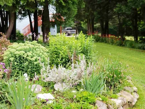 733 Wheelock Road Sutton VT 05867