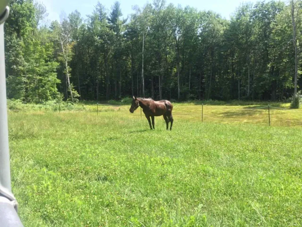 1404 Franklin Pierce Highway Barrington NH 03825