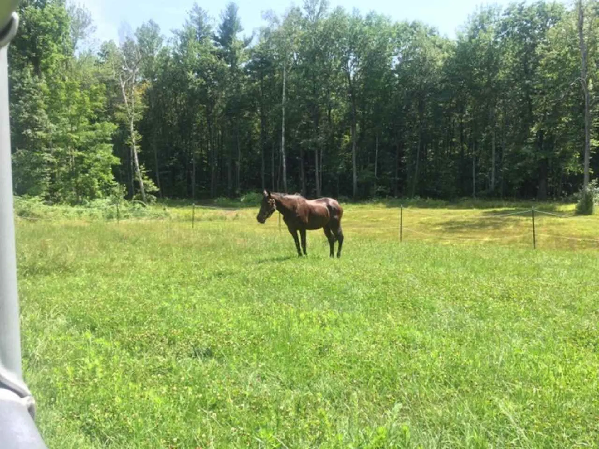 1404 Franklin Pierce Highway Barrington NH 03825