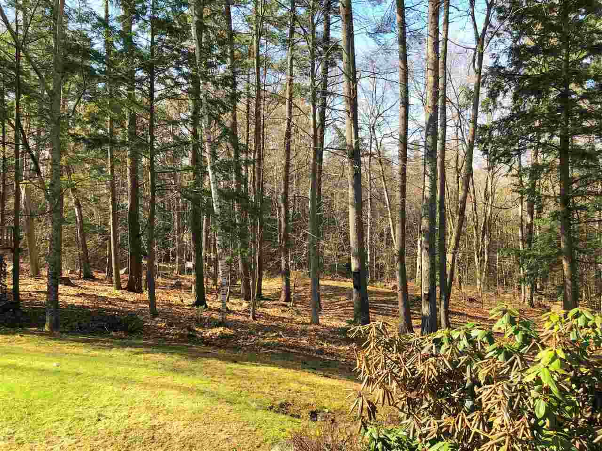94 Spruce Road Wolfeboro NH 03894