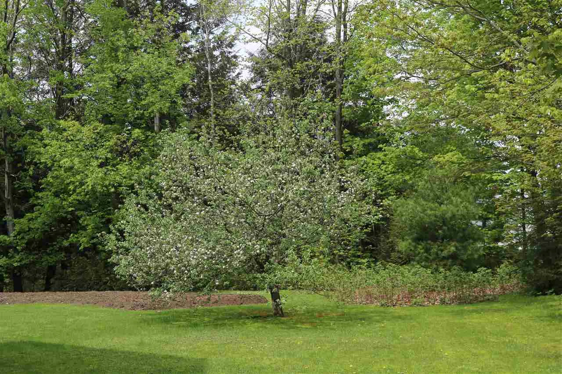 80 Brookside Drive Sheldon VT 05483