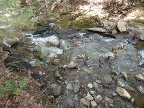 1813 Carter Road Lowell VT 05847