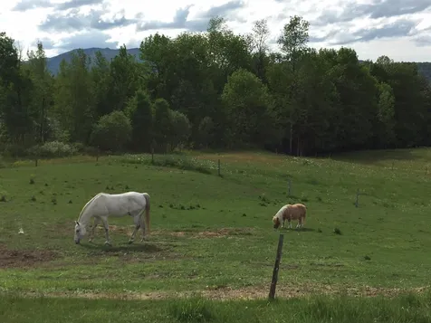 1813 Carter Road Lowell VT 05847