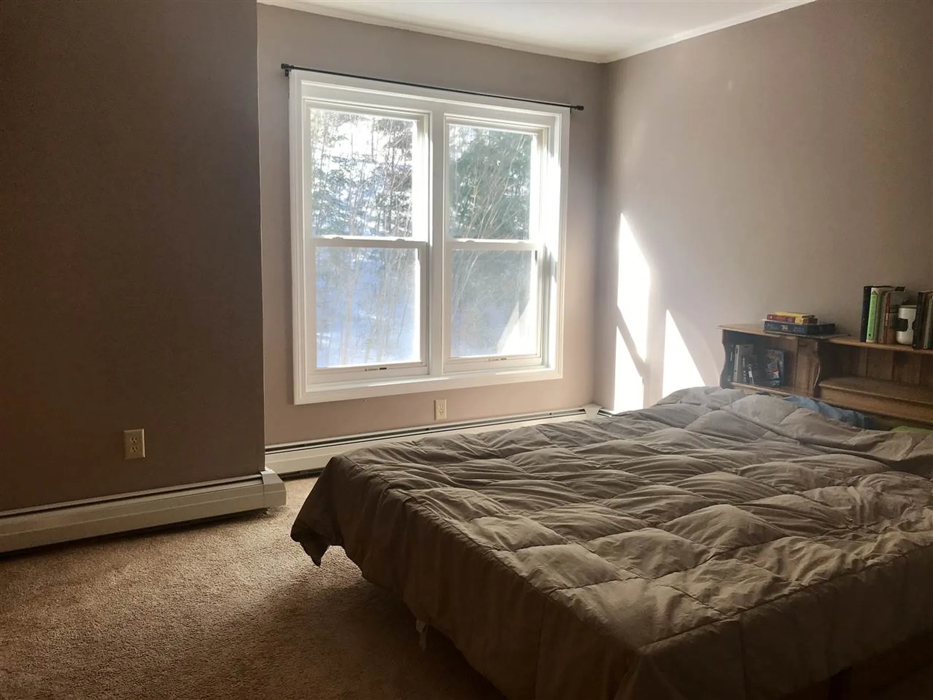40 Potter Place Enfield NH 03748