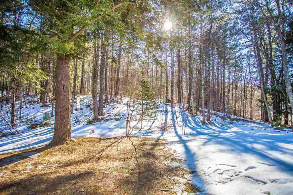 240 Forest Road Lyndeborough NH 03082