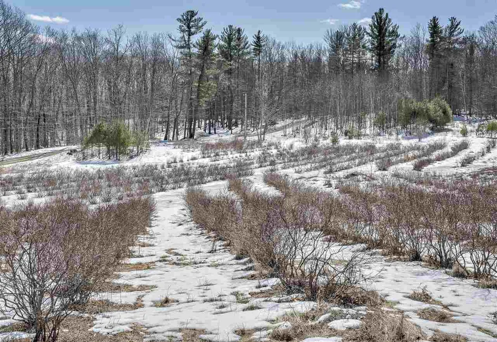 0 Monument Road Richmond NH 03470