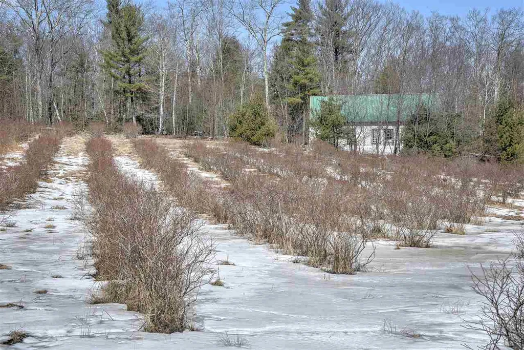 0 Monument Road Richmond NH 03470