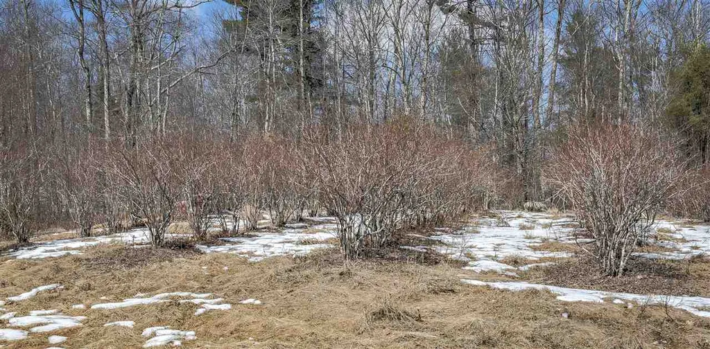 0 Monument Road Richmond NH 03470