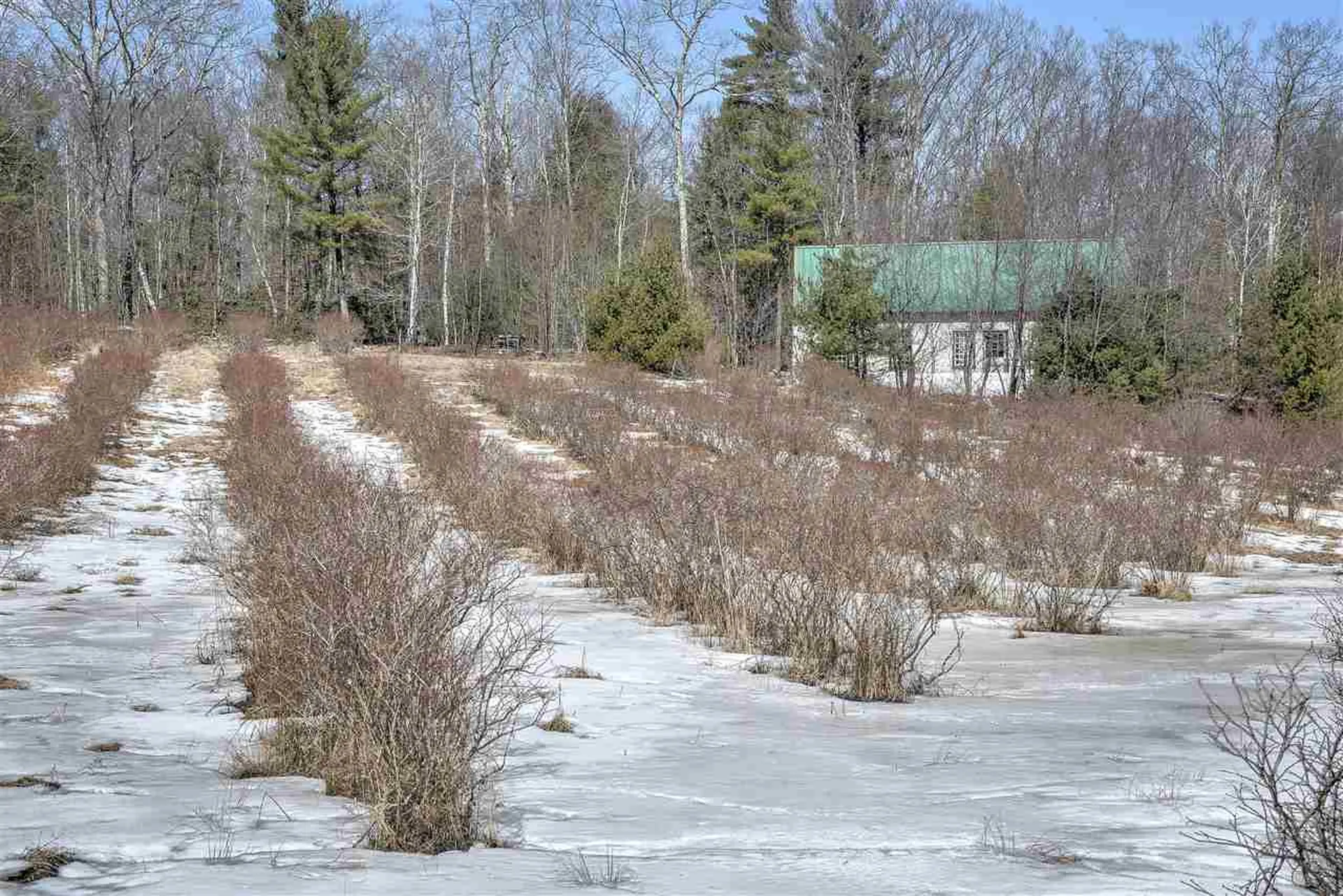 0 Monument Road Richmond NH 03470