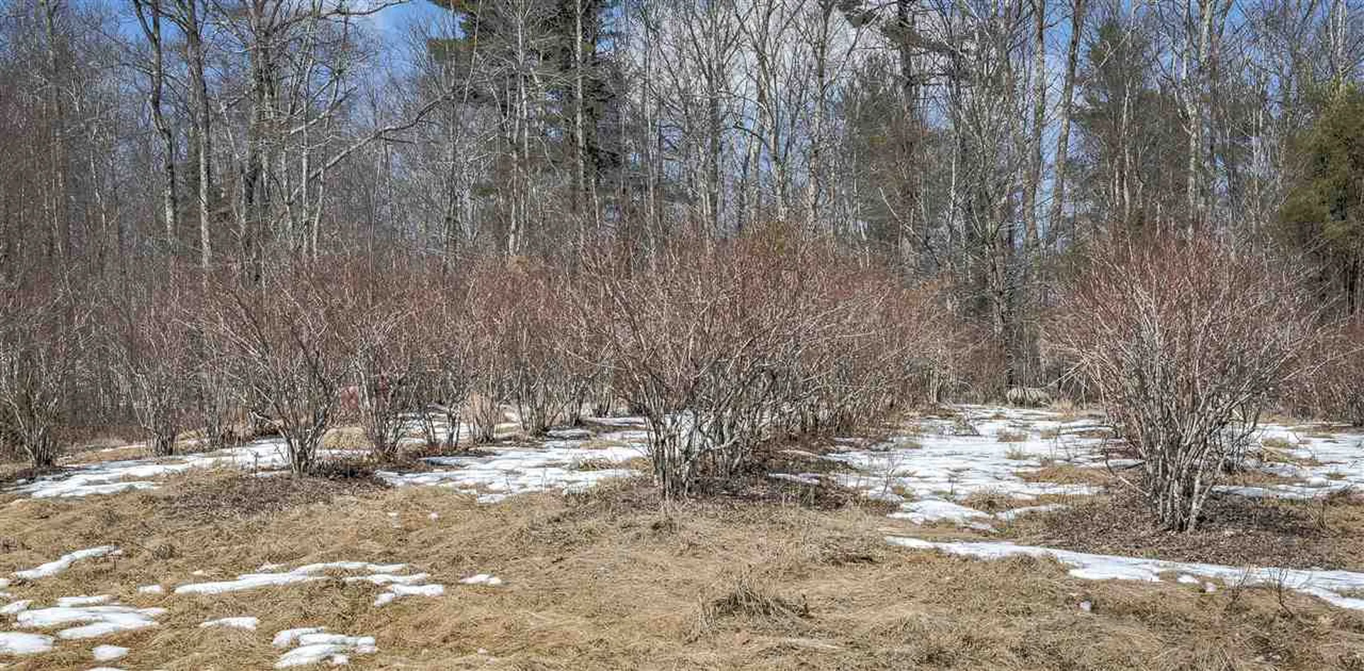 0 Monument Road Richmond NH 03470