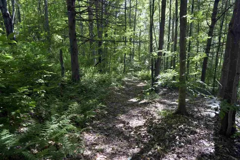 134 Donahue Drive Northfield VT 05663