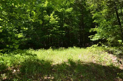 Farm Ridge Road Ludlow VT 05149