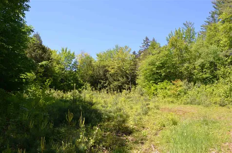 Farm Ridge Road Ludlow VT 05149