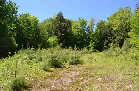 Farm Ridge Road Ludlow VT 05149