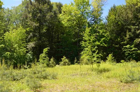 Farm Ridge Road Ludlow VT 05149