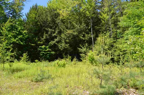 Farm Ridge Road Ludlow VT 05149