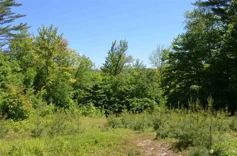 Farm Ridge Road Ludlow VT 05149