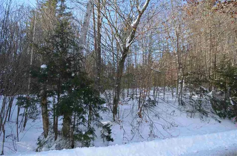 Farm Ridge Road Ludlow VT 05149