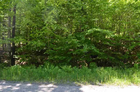 Farm Ridge Road Ludlow VT 05149