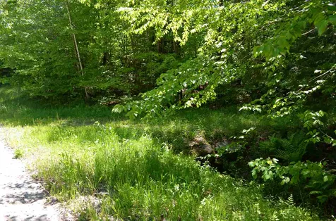 Farm Ridge Road Ludlow VT 05149