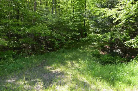 Farm Ridge Road Ludlow VT 05149