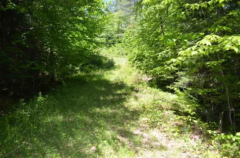 Farm Ridge Road Ludlow VT 05149