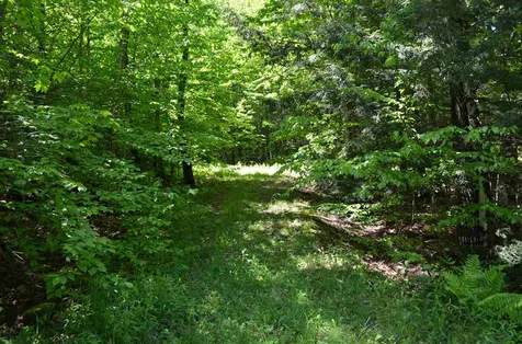 Farm Ridge Road Ludlow VT 05149