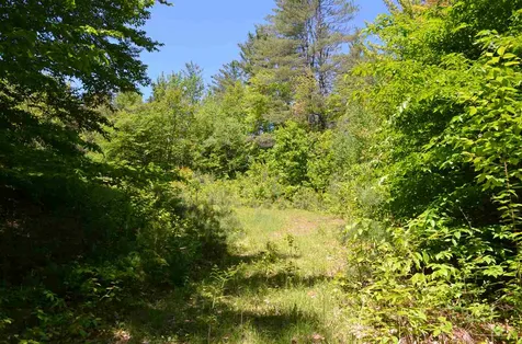 Farm Ridge Road Ludlow VT 05149