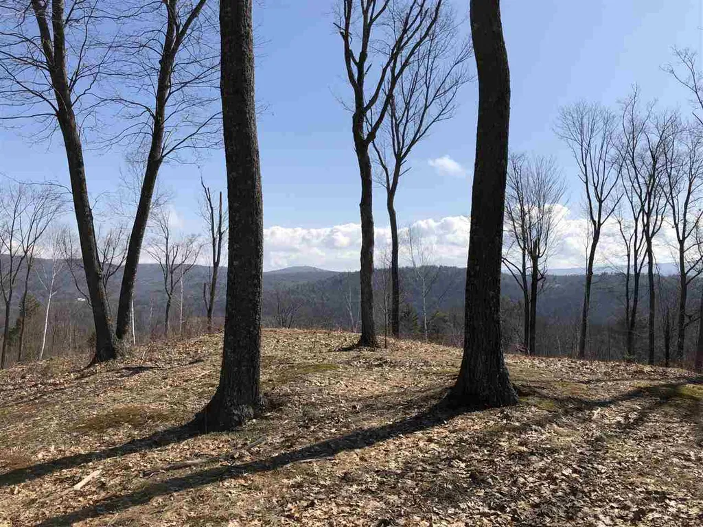 00-6 Eastman Road Hartland VT 05048